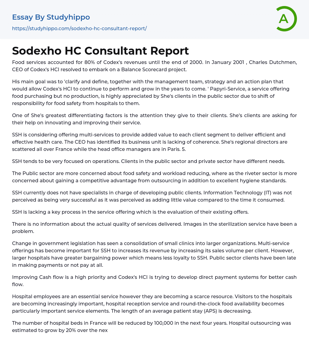 Sodexho HC Consultant Report Essay Example