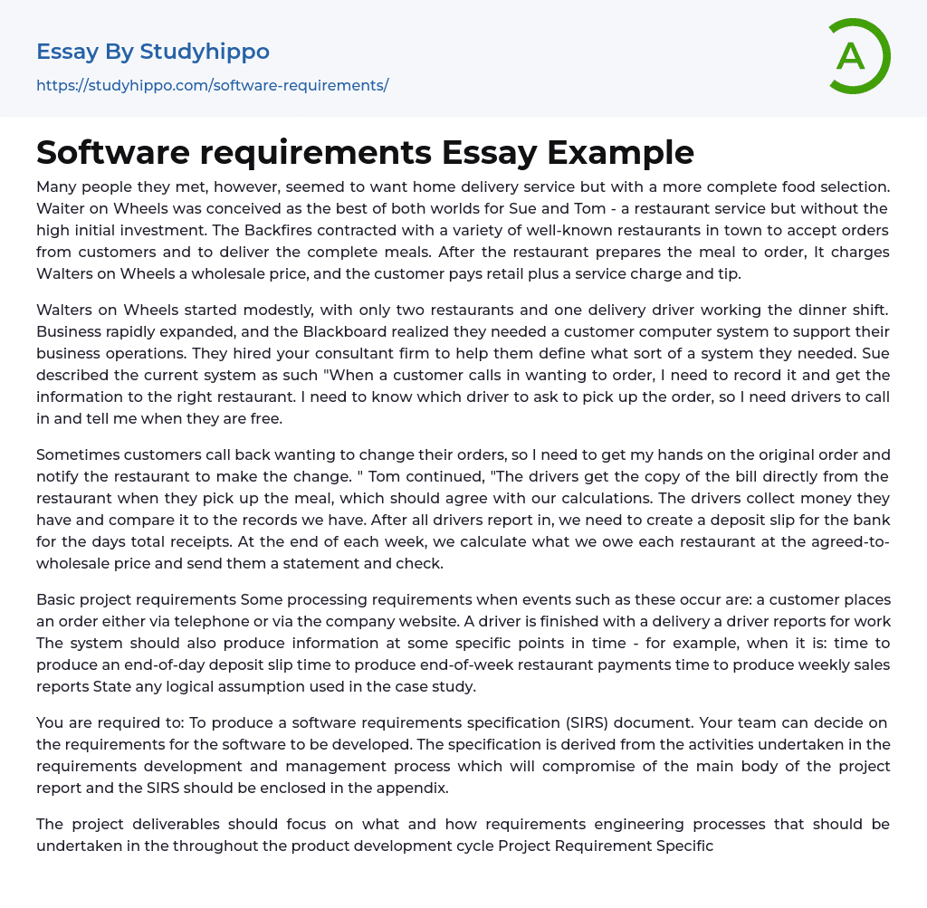 Software requirements Essay Example
