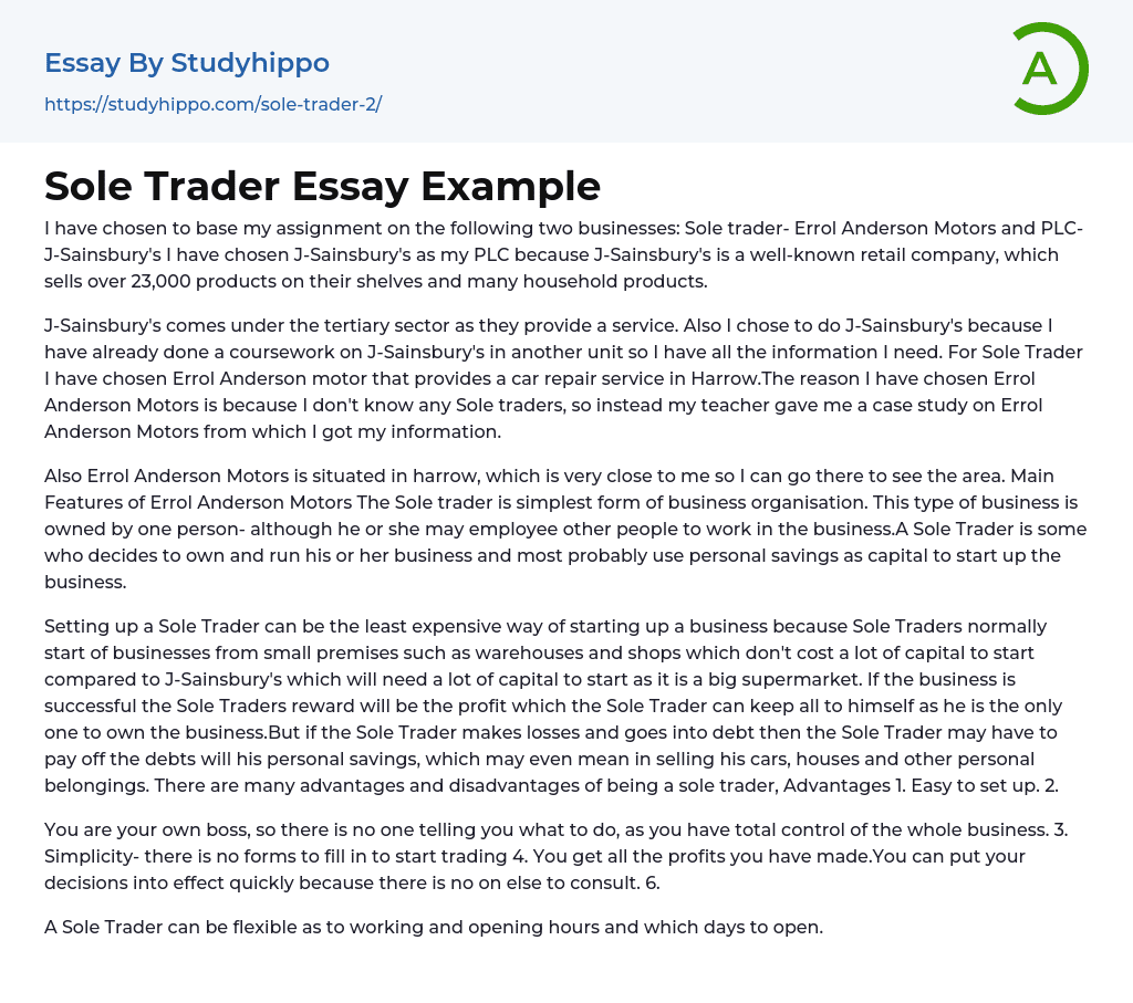 Sole Trader Essay Example