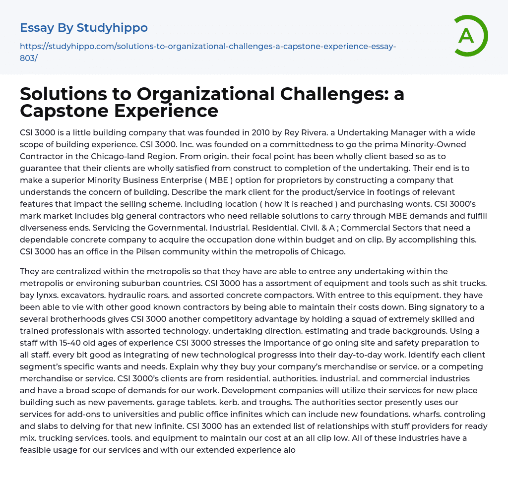 Solutions to Organizational Challenges: a Capstone Experience Essay Example