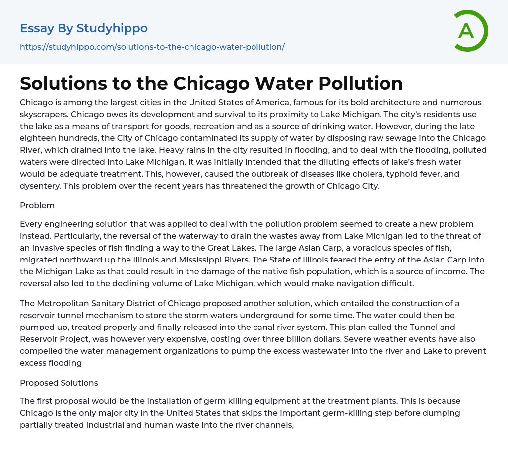 Solutions to the Chicago Water Pollution Essay Example