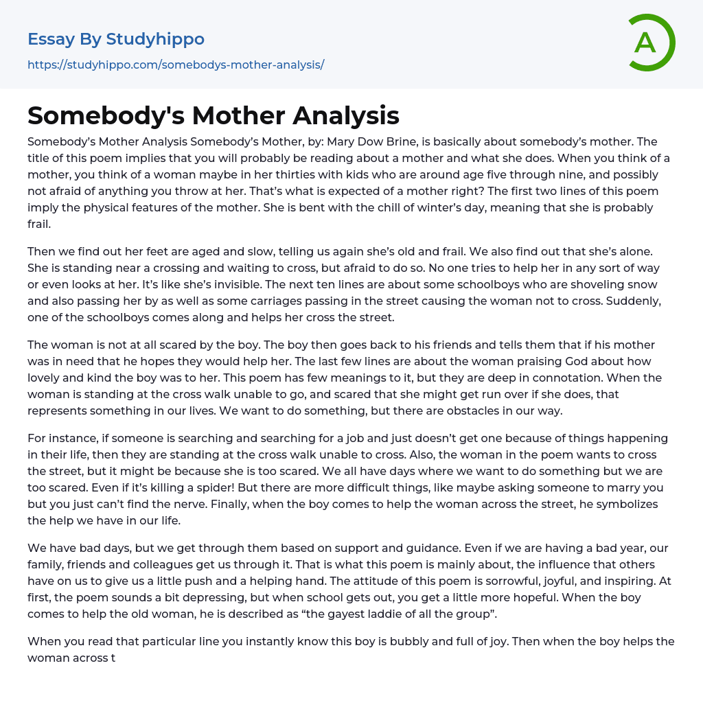 Somebody’s Mother Analysis Essay Example