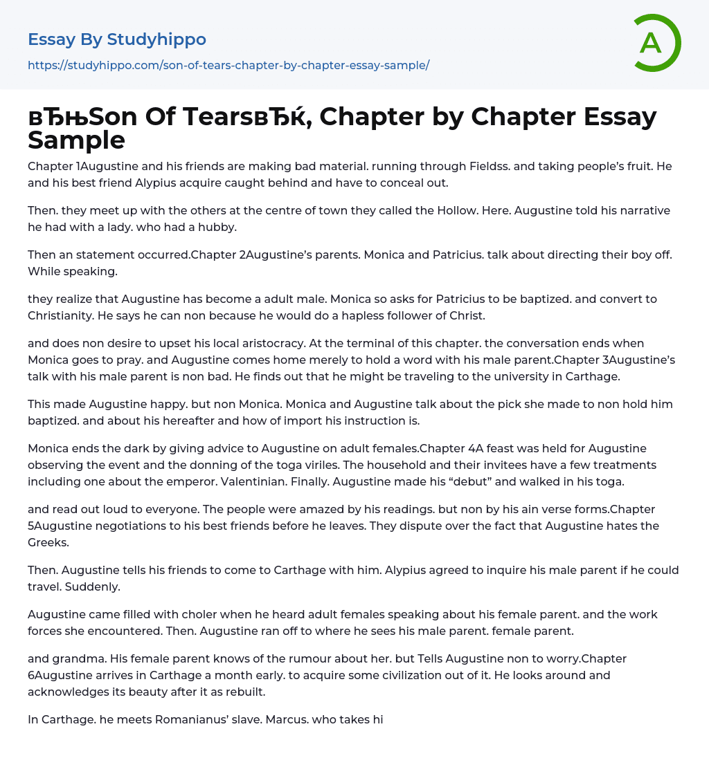 “Son Of Tears”, Chapter by Chapter Essay Sample