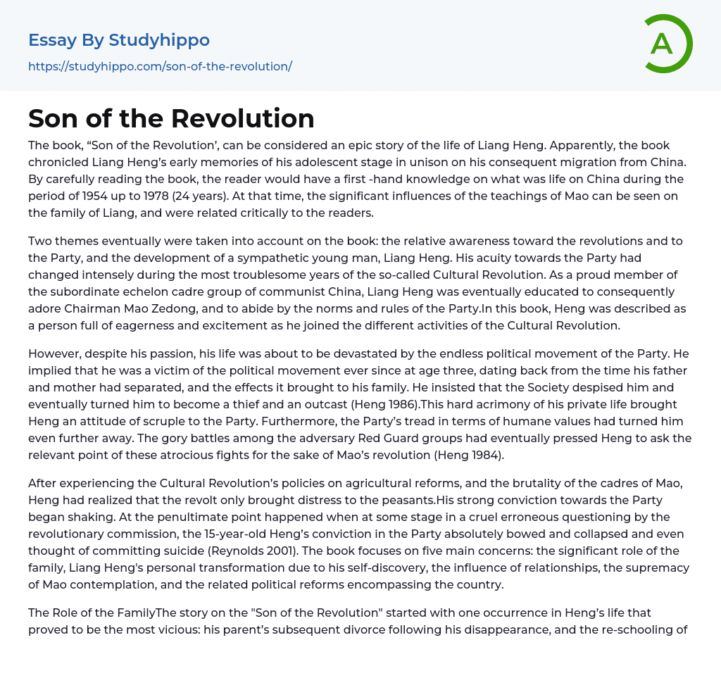 Son of the Revolution Essay Example