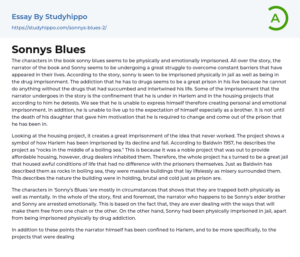Sonnys Blues Essay Example