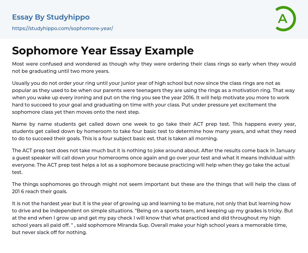 Sophomore Year Essay Example