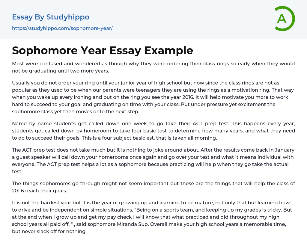 Sophomore Year Essay Example StudyHippo