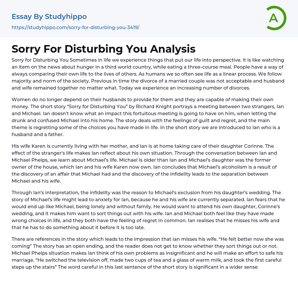 Sorry For Disturbing You Analysis Essay Example
