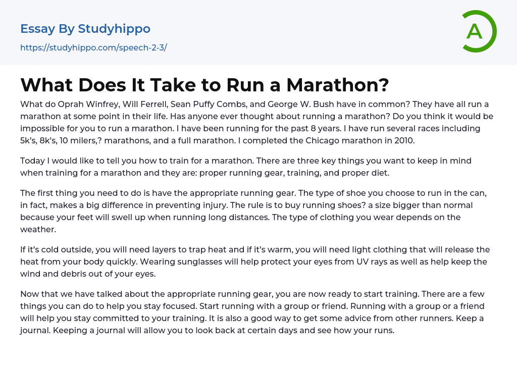 What Does It Take to Run a Marathon? Essay Example