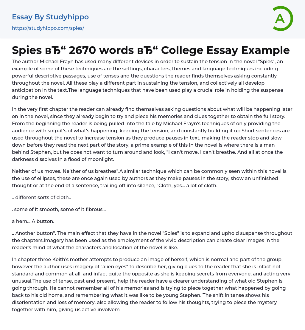 Spies 2670 words College Essay Example