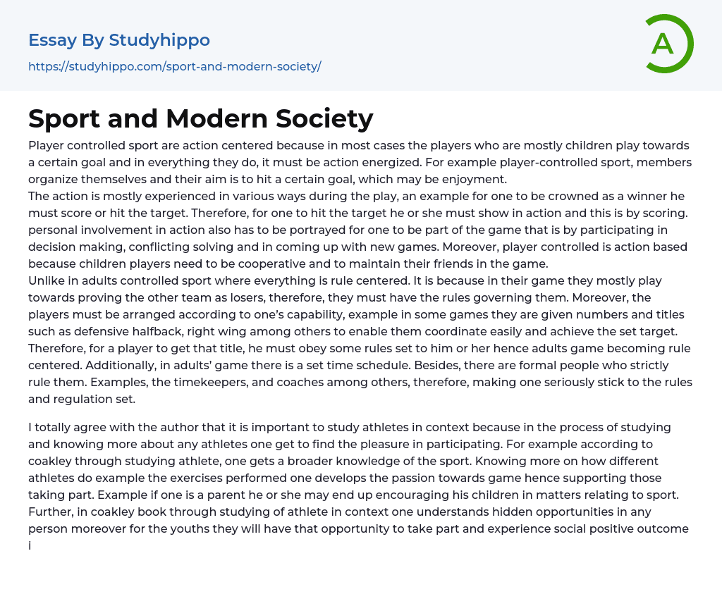 Sport and Modern Society Essay Example