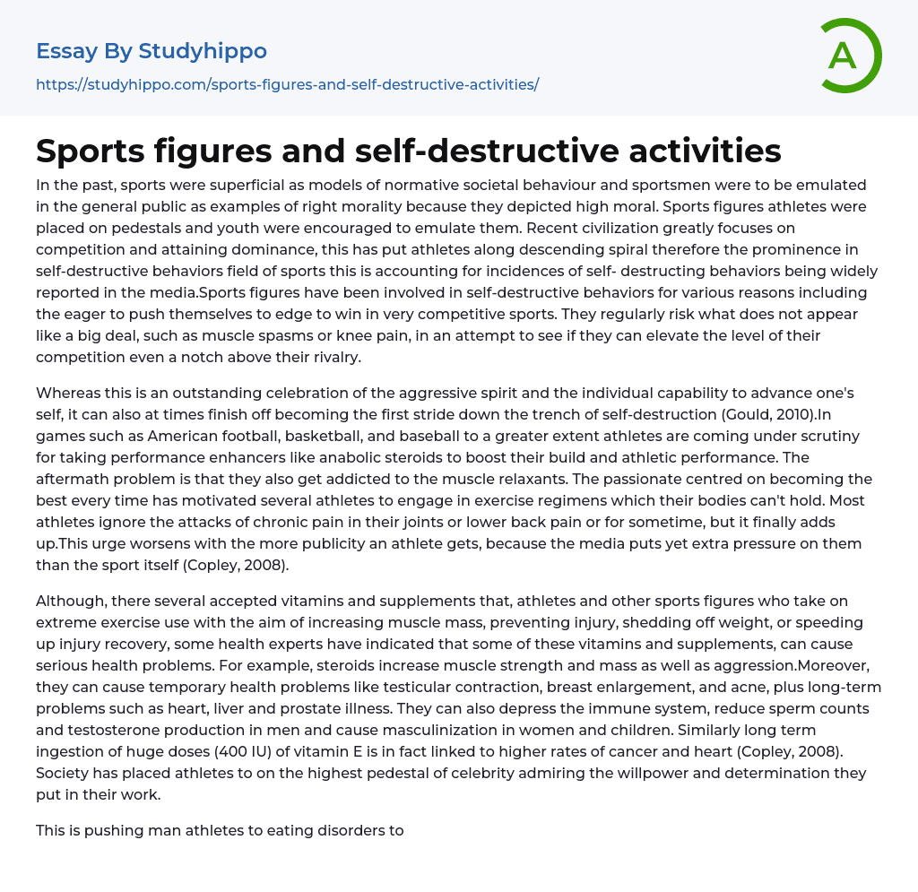Sports figures and self-destructive activities Essay Example