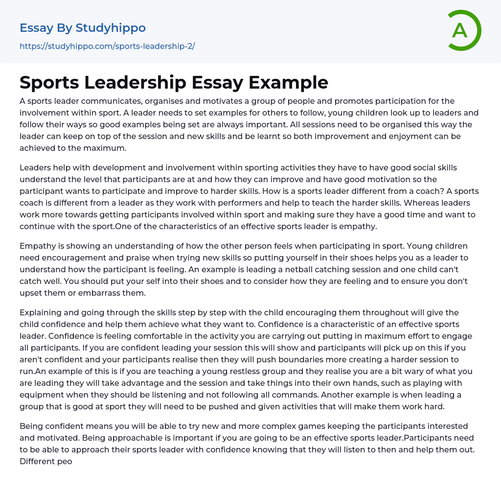 Sports Leadership Essay Example