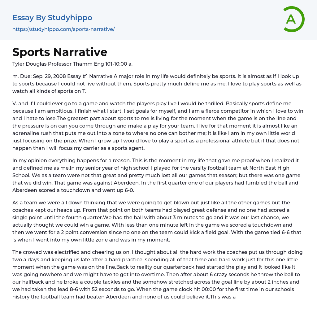 sports narrative essay in english