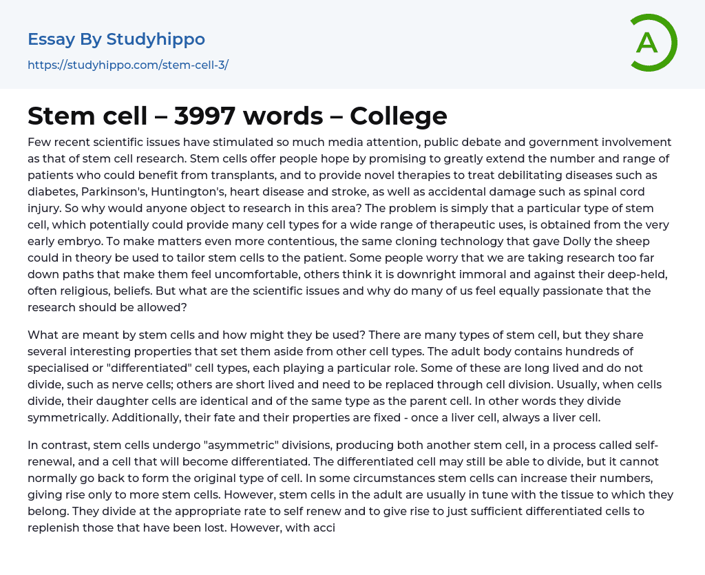 Stem cell – 3997 words – College Essay Example