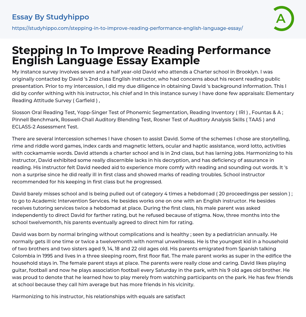 english language essay example