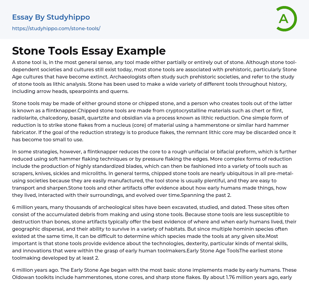 Stone Tools Essay Example