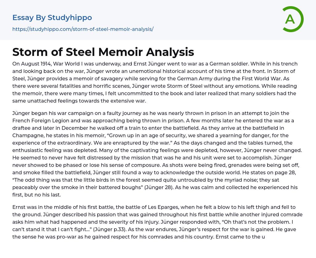 Storm of Steel Memoir Analysis Essay Example