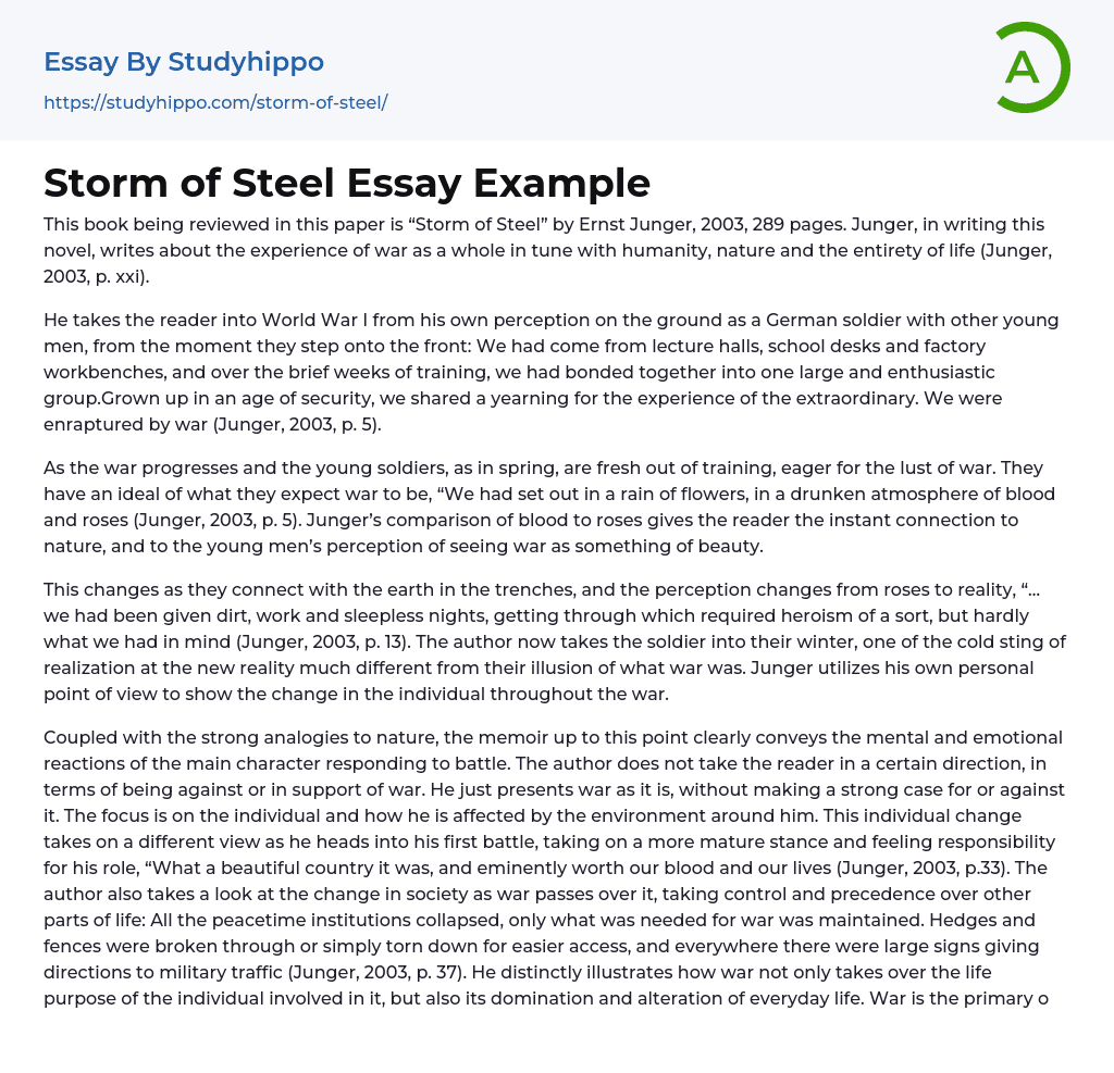 Storm of Steel Essay Example