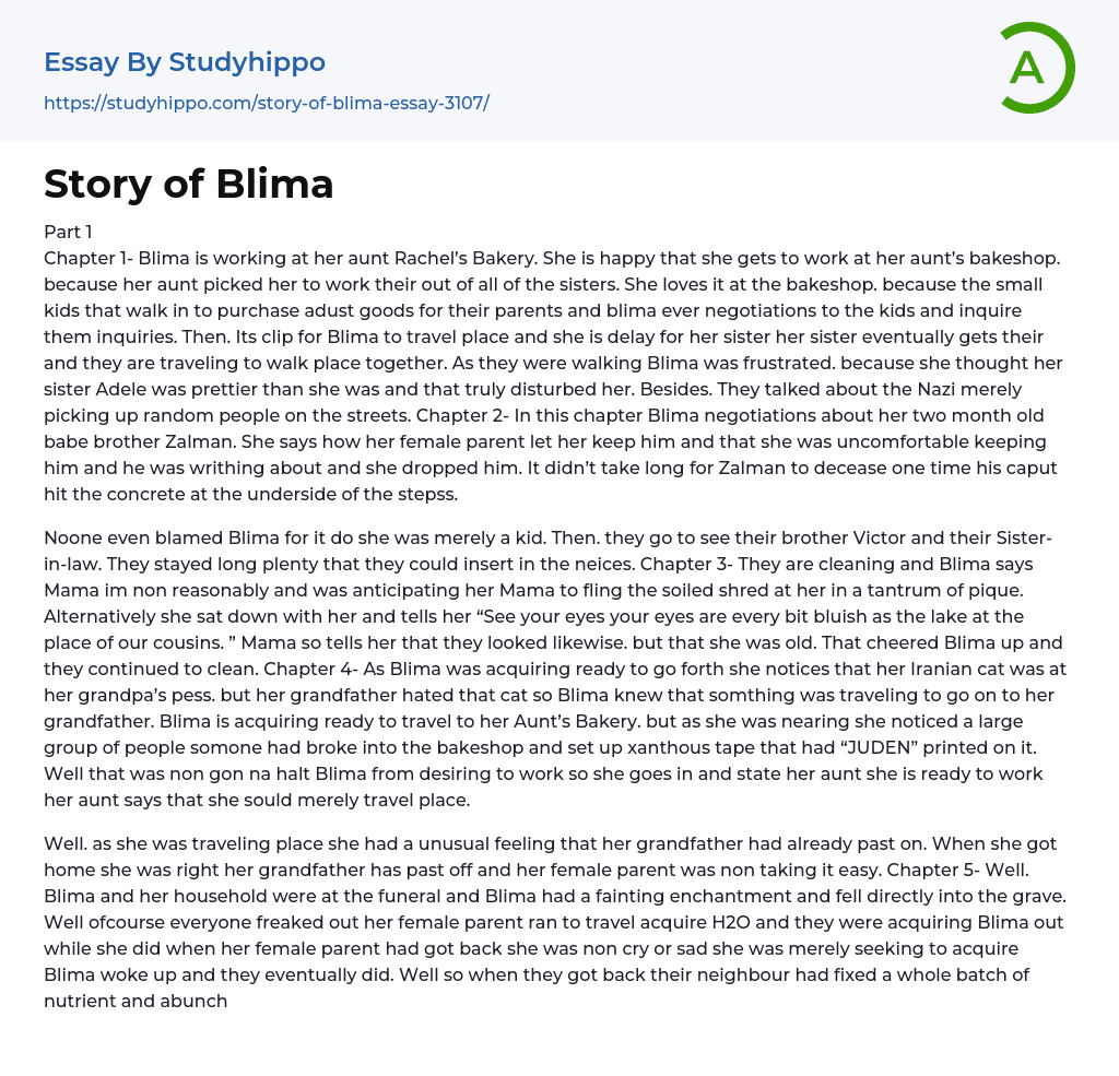 Story of Blima Essay Example