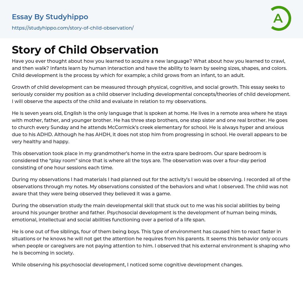 Story of Child Observation Essay Example | StudyHippo.com