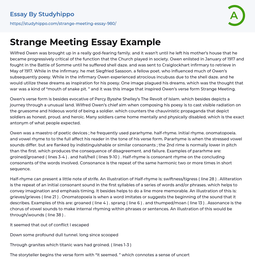 Strange Meeting Essay Example