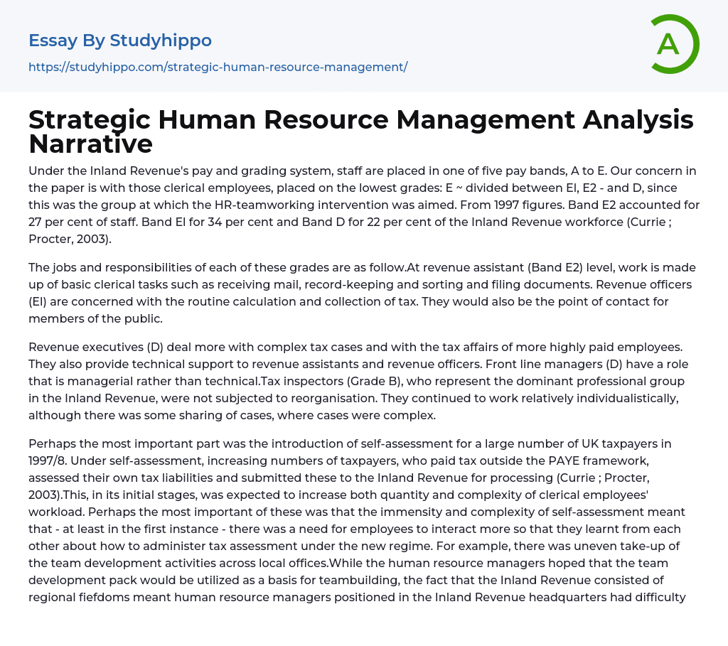 Strategic Human Resource Management Analysis Narrative Essay Example