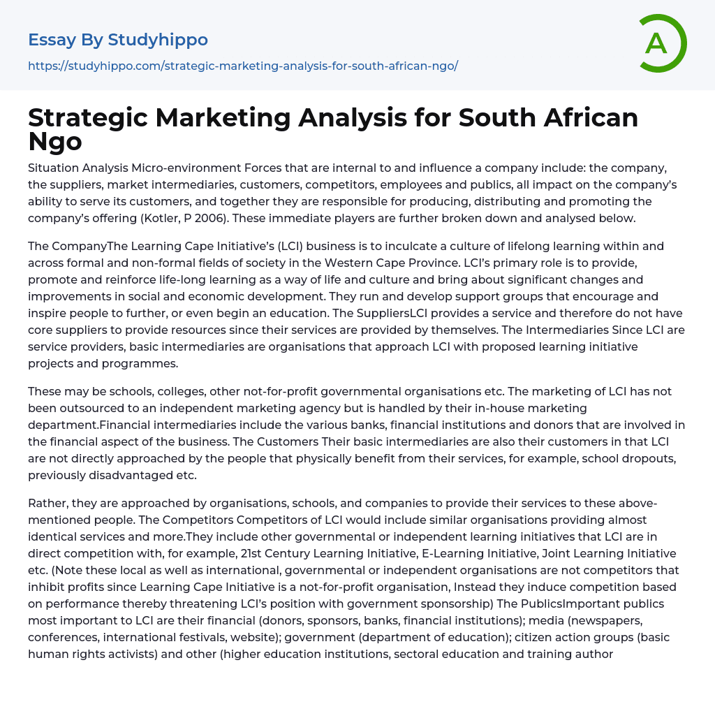 Strategic Marketing Analysis for South African Ngo Essay Example