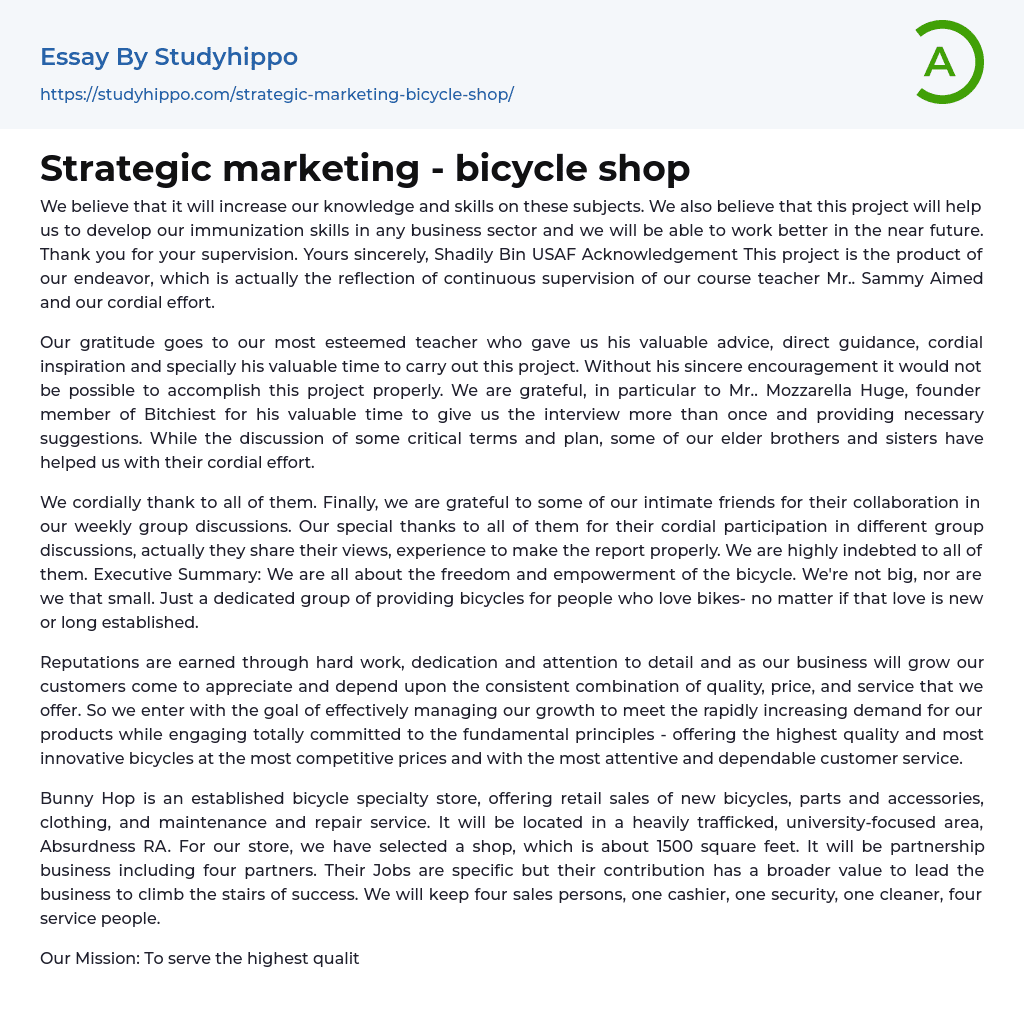 Strategic marketing – bicycle shop Essay Example