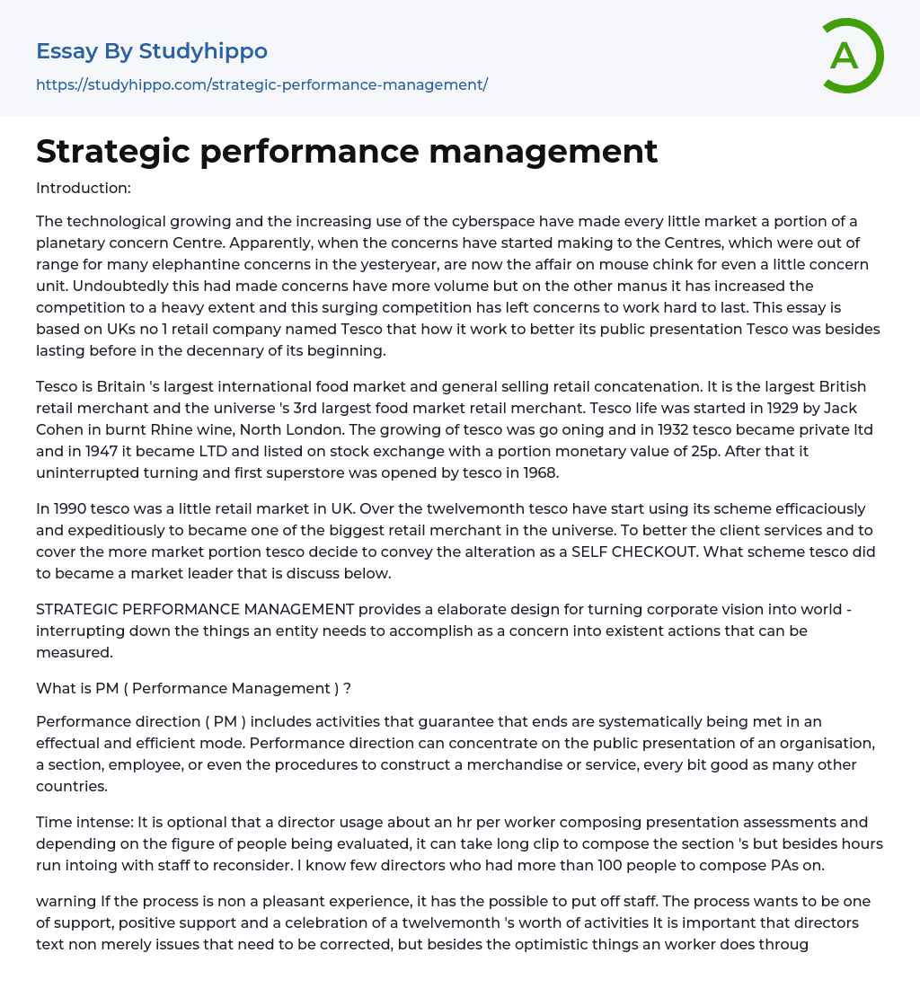 Strategic performance management Essay Example