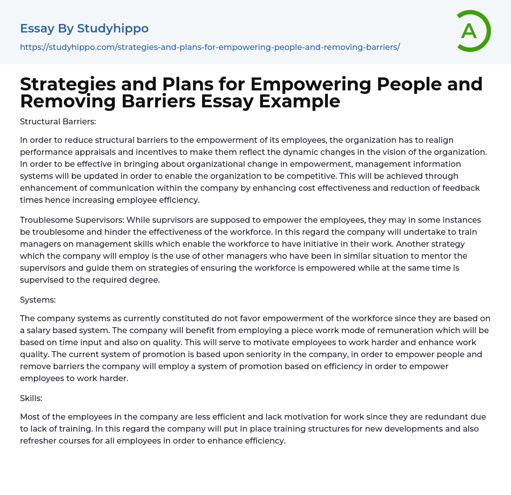 Strategies and Plans for Empowering People and Removing Barriers Essay Example