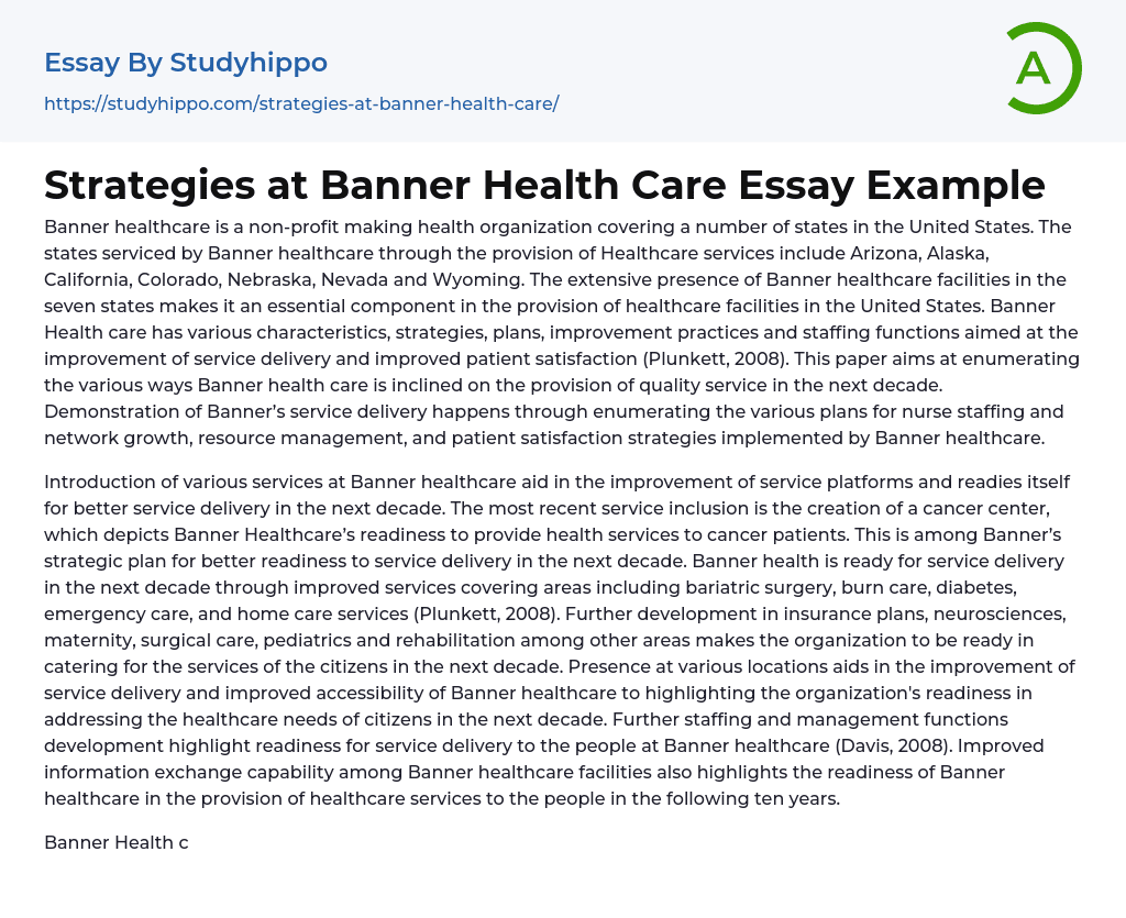 Strategies at Banner Health Care Essay Example