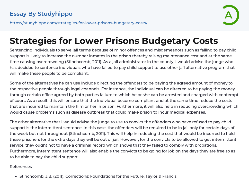 Strategies for Lower Prisons Budgetary Costs Essay Example