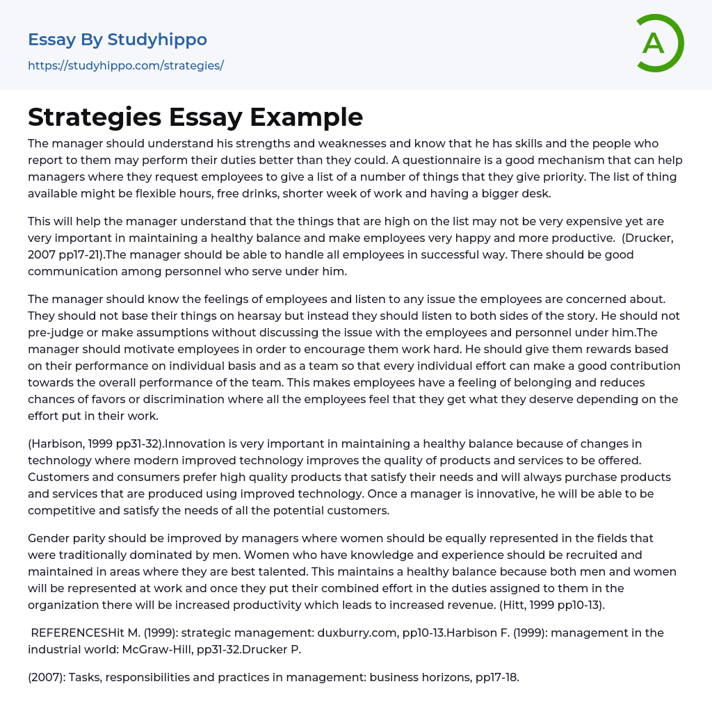 Strategies Essay Example