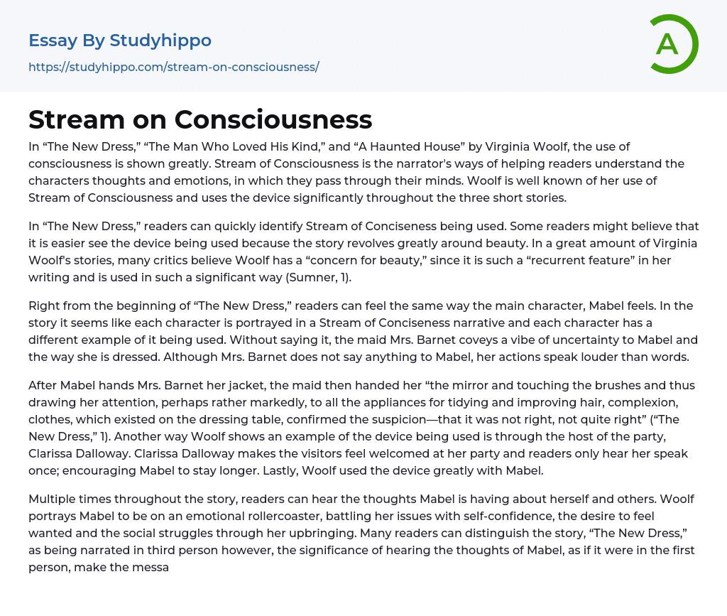 Stream on Consciousness Essay Example