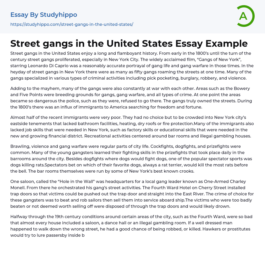 Street gangs in the United States Essay Example