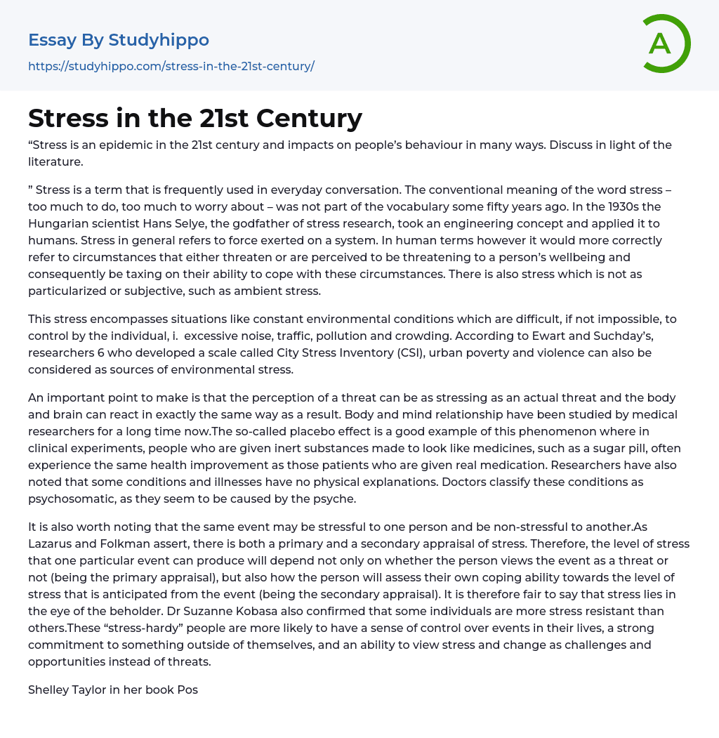 Stress in the 21st Century Essay Example