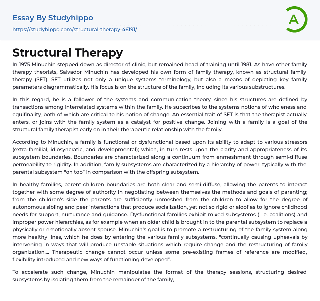 Structural Therapy Essay Example