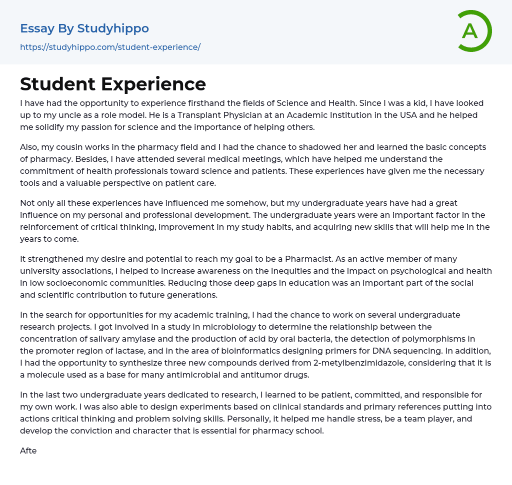 Student Experience Essay Example