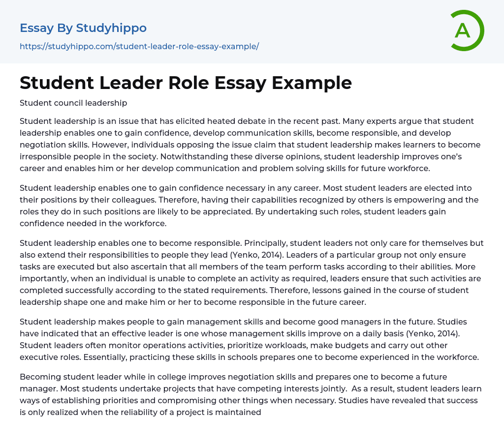 Student Leader Role Essay Example