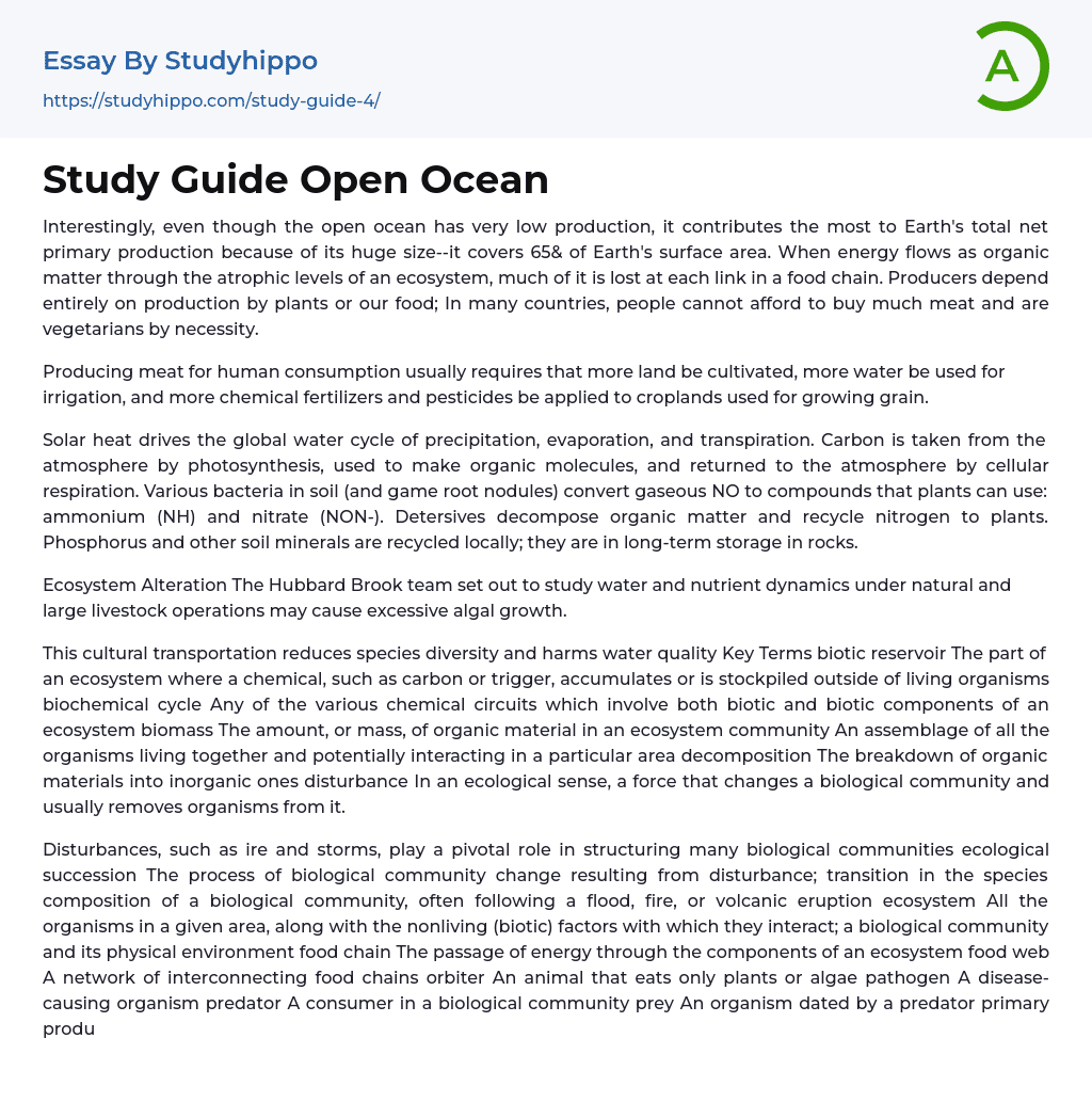 Study Guide Open Ocean Essay Example