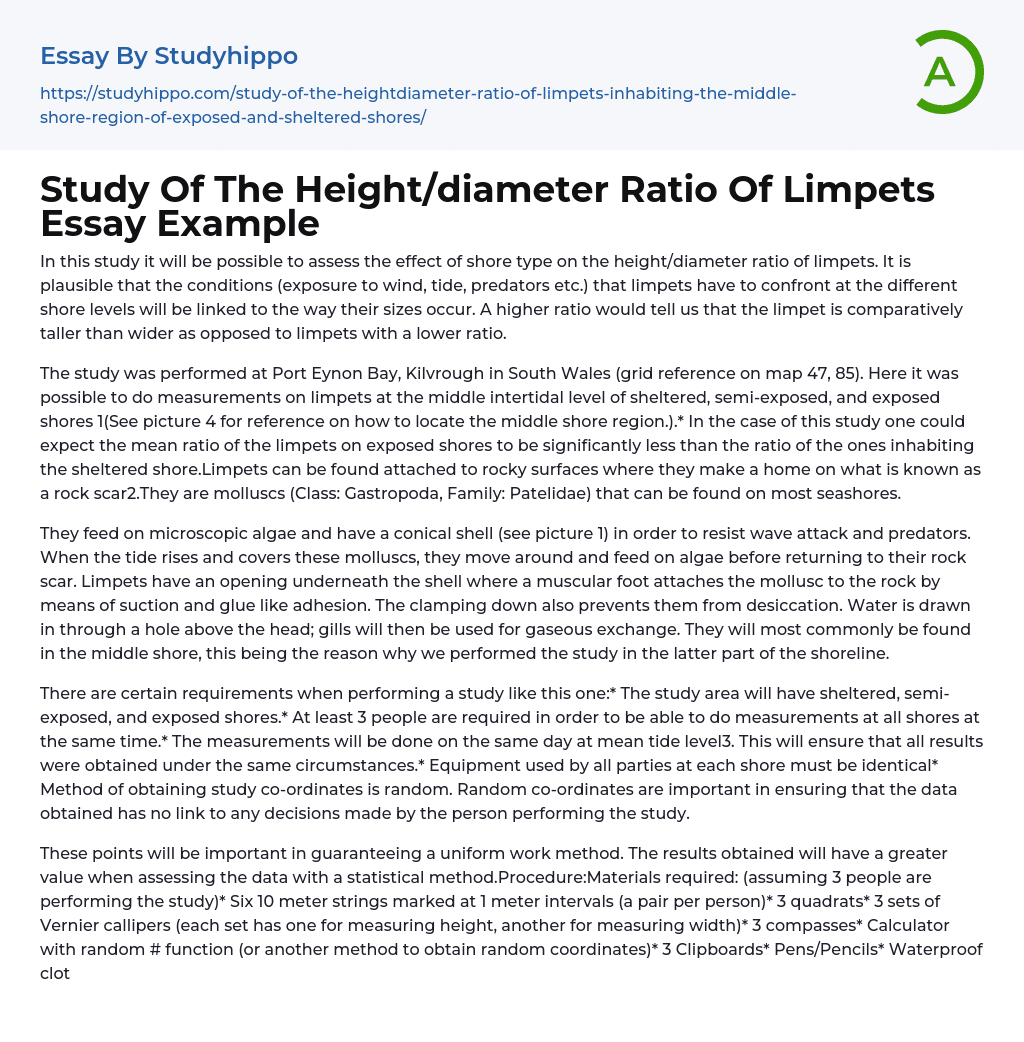 Study Of The Height/diameter Ratio Of Limpets Essay Example