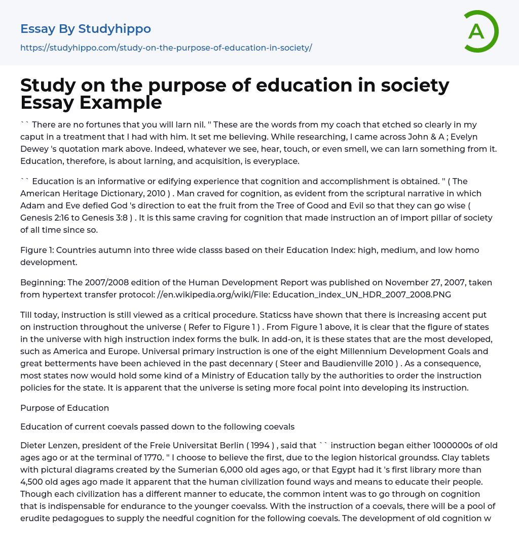 Study on the purpose of education in society Essay Example