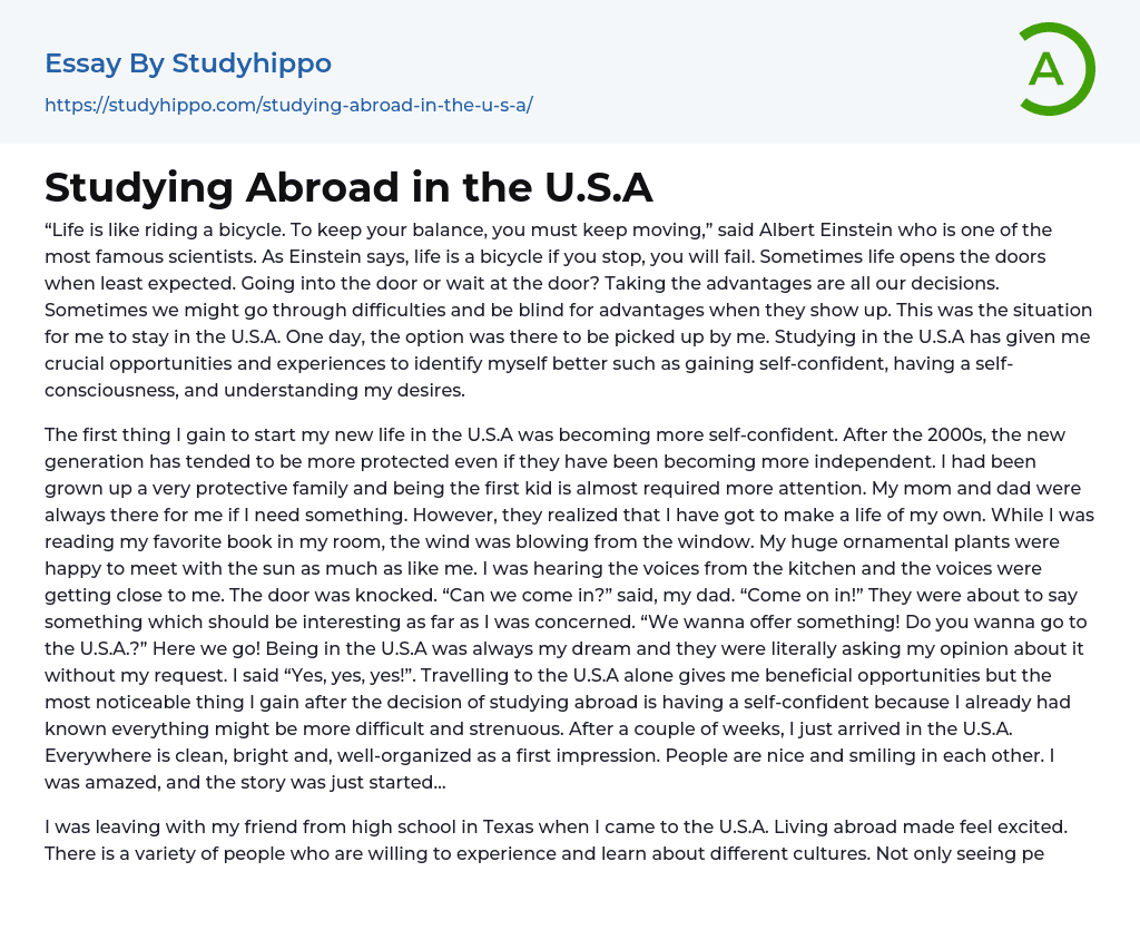 Studying Abroad in the U.S.A Essay Example