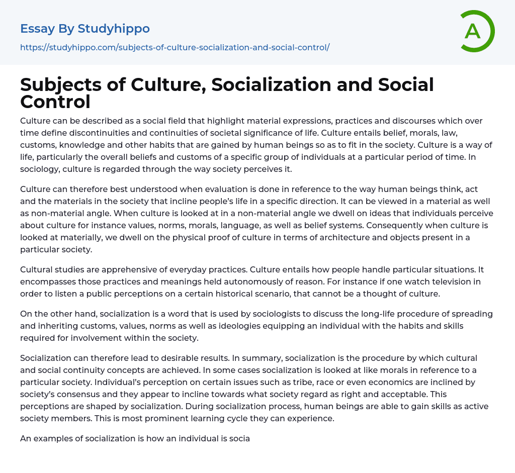 Subjects of Culture, Socialization and Social Control Essay Example