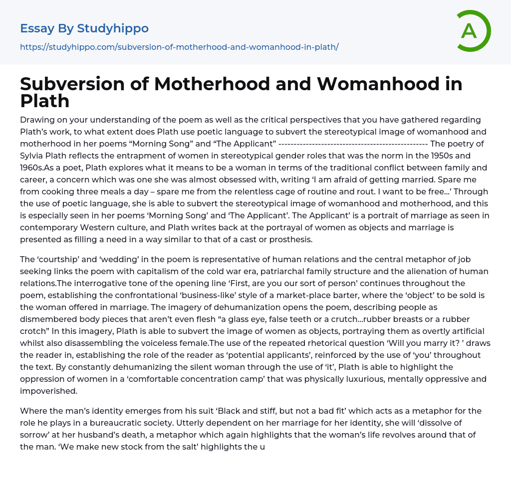 Subversion of Motherhood and Womanhood in Plath Essay Example