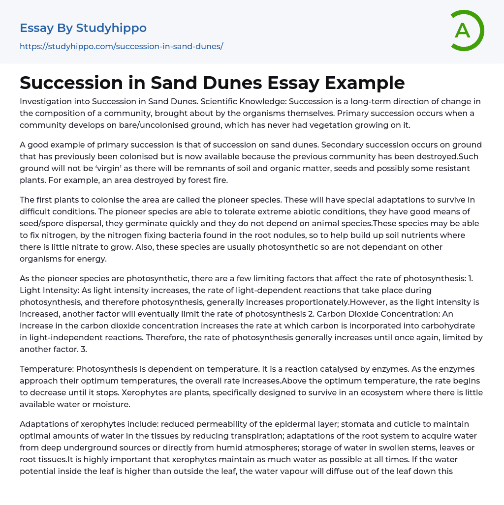 Succession in Sand Dunes Essay Example