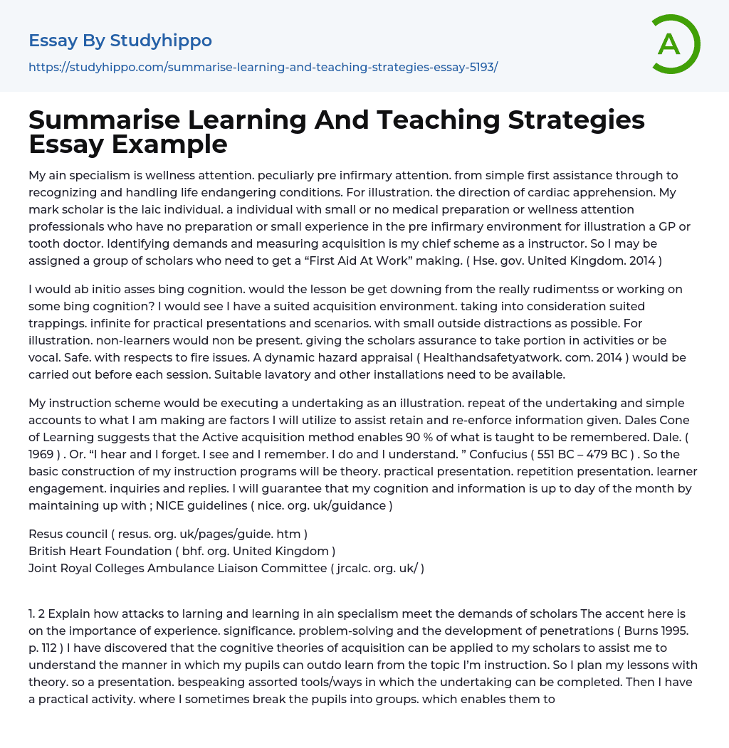 Summarise Learning And Teaching Strategies Essay Example