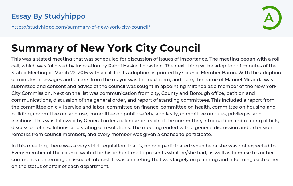 Summary of New York City Council Essay Example