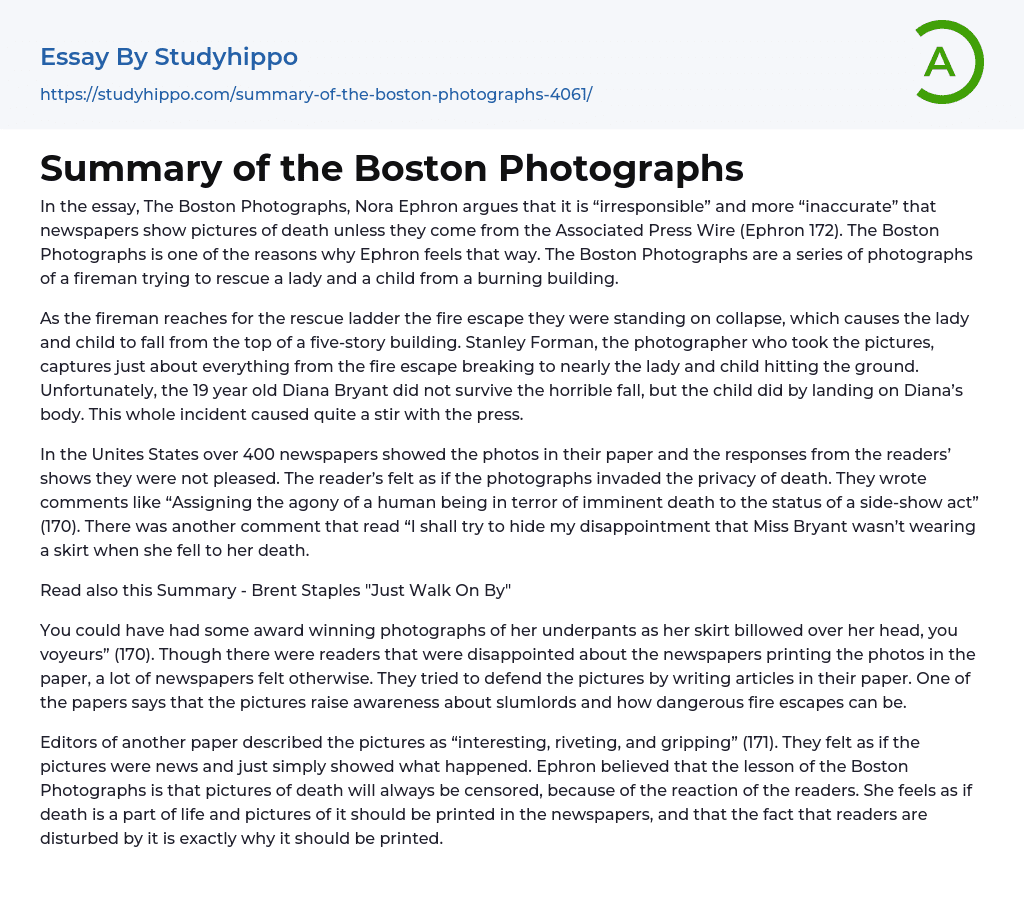 Summary of the Boston Photographs Essay Example